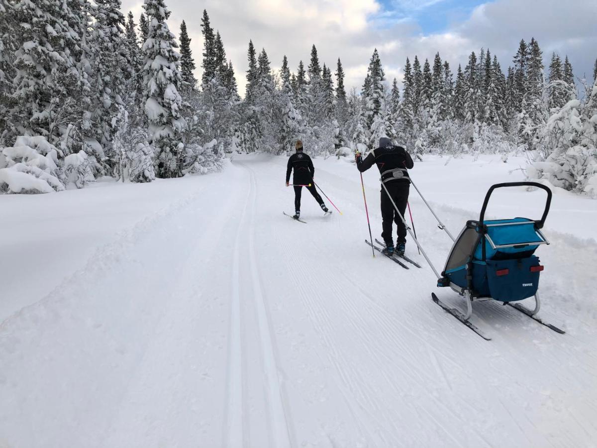 Karolinen Stugor & Laegenheter Åre Exterior foto